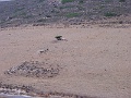Antiparos Landschaftsblick 3